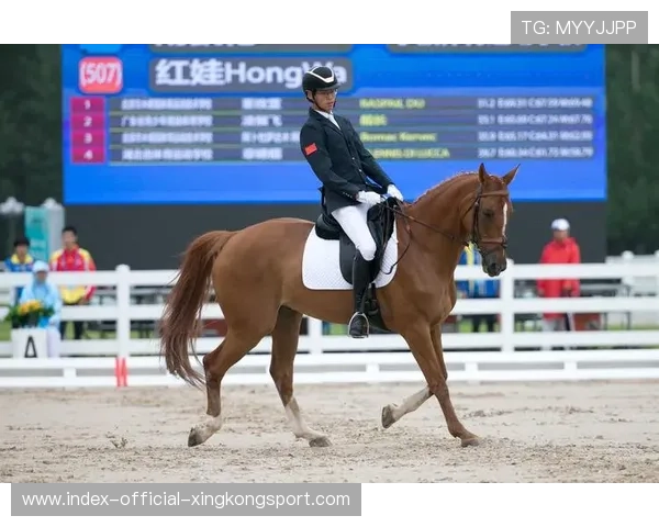 中国马术队史上最大投资曝光 中国马术队史上最大投资曝光