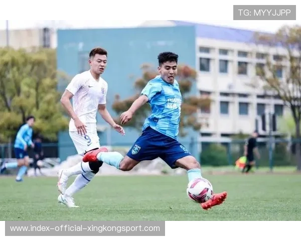 热身赛检验战术体系，新阵容磨合顺利，热身赛集锦